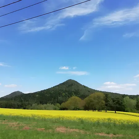 Apartment La Sittelle La Bourgonce