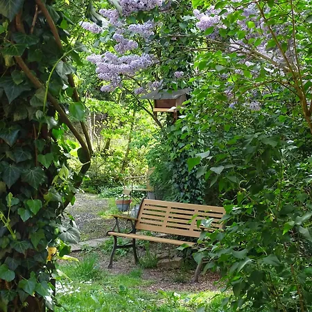 Διαμέρισμα La Sittelle La Bourgonce
