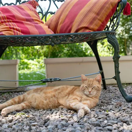 Διαμέρισμα La Sittelle *