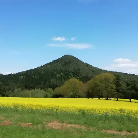 La Sittelle Διαμέρισμα La Bourgonce