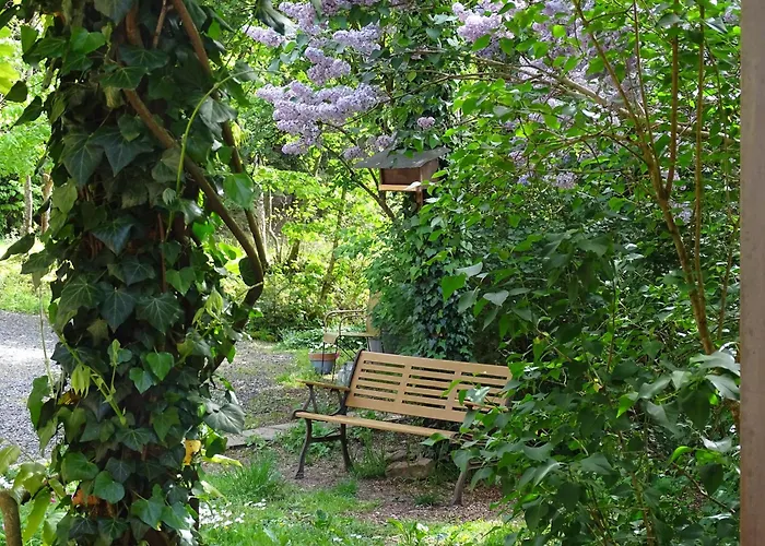 Apartment La Sittelle La Bourgonce