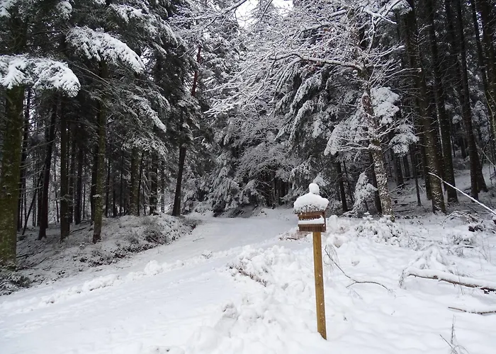 Apartment La Sittelle La Bourgonce