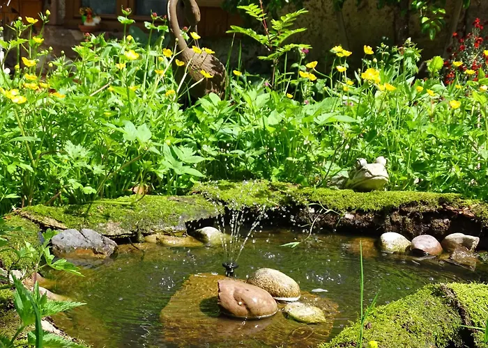 La Sittelle Apartment *